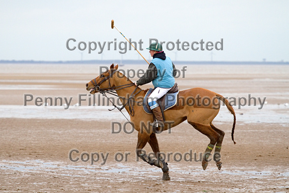 Vale_of_York_Polo_Cleethorpes_2nd_March_2014.106