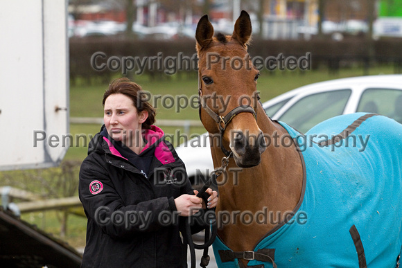 Vale_of_York_Polo_Cleethorpes_2nd_March_2014.186
