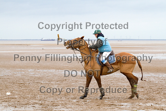 Vale_of_York_Polo_Cleethorpes_2nd_March_2014.115