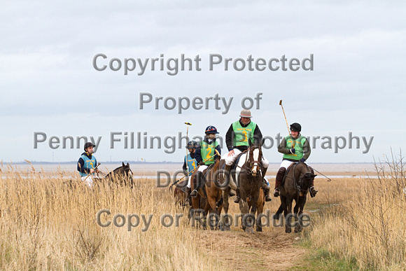 Vale_of_York_Polo_Cleethorpes_2nd_March_2014.157