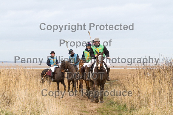 Vale_of_York_Polo_Cleethorpes_2nd_March_2014.158