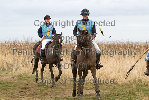 Vale_of_York_Polo_Cleethorpes_2nd_March_2014.161