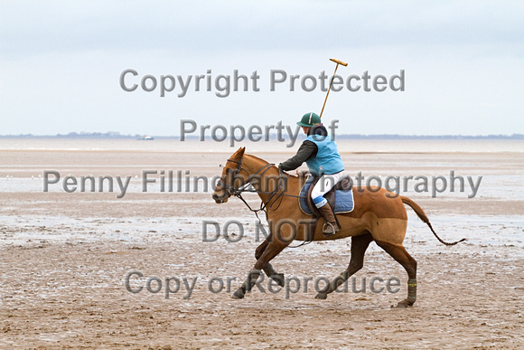 Vale_of_York_Polo_Cleethorpes_2nd_March_2014.141