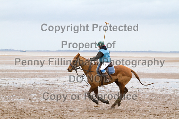 Vale_of_York_Polo_Cleethorpes_2nd_March_2014.140