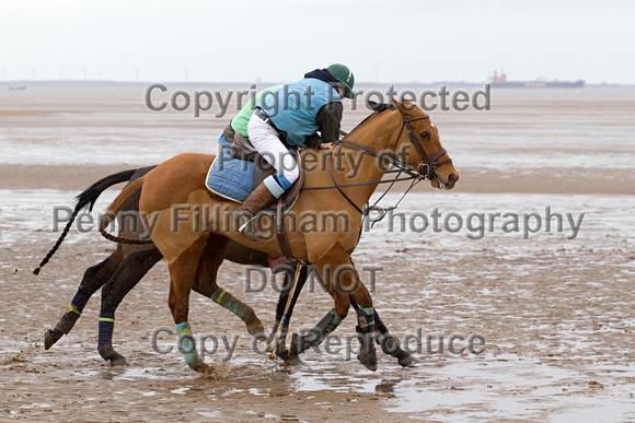 Vale_of_York_Polo_Cleethorpes_2nd_March_2014.035