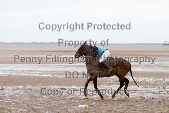 Vale_of_York_Polo_Cleethorpes_2nd_March_2014.055