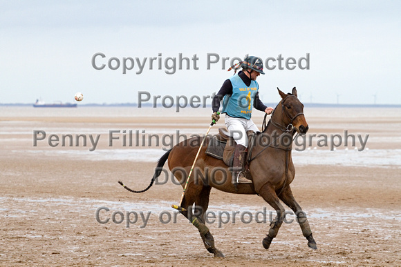 Vale_of_York_Polo_Cleethorpes_2nd_March_2014.109