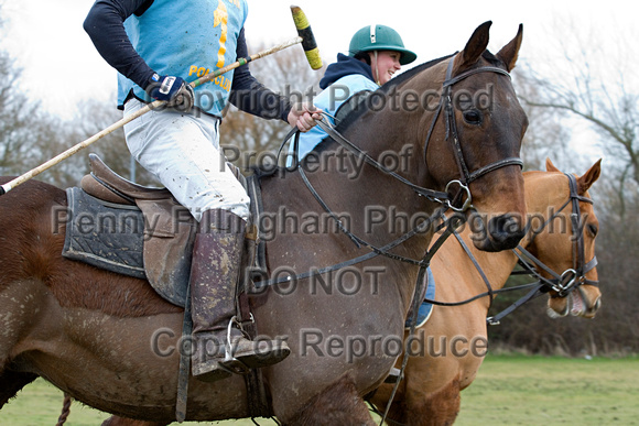 Vale_of_York_Polo_Cleethorpes_2nd_March_2014.165