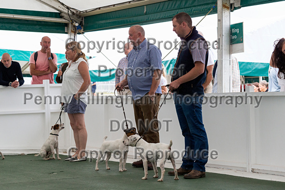 GYS_Terriers_Morning_Ring_Two_12th_July_2018_003