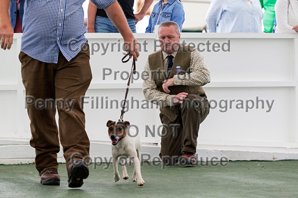 GYS_Terriers_Morning_Ring_Two_12th_July_2018_019