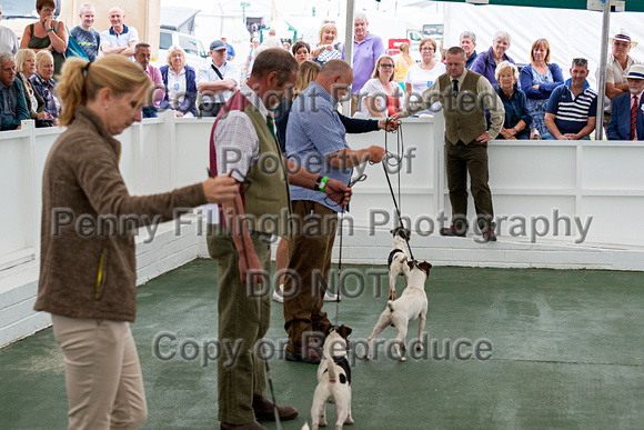 GYS_Terriers_Morning_Ring_Two_12th_July_2018_021