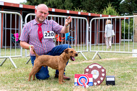 GYS_Terriers_Morning_Ring_Three_12th_July_2018_033