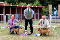 GYS_Terriers_Morning_Ring_Three_12th_July_2018_031