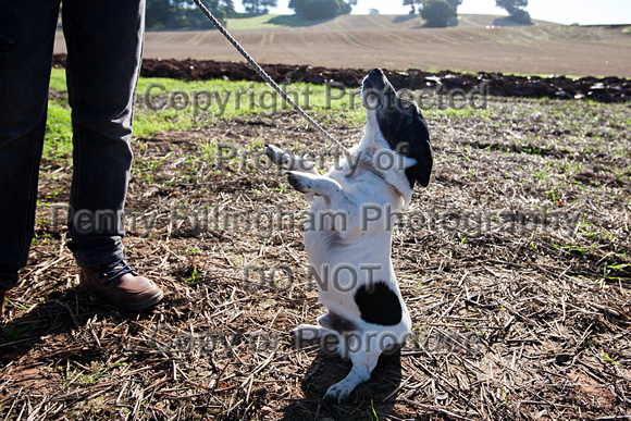 Southwell_Ploughing_Match_26th_Sept_2015_002