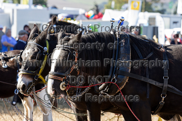 Southwell_Ploughing_Match_26th_Sept_2015_003