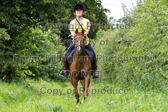 Wellow_Equestrian_Centre_Pleasure_Ride_24th_July_2016_353