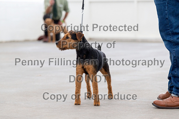 GYS_Terriers_Morning_Ring_One_12th_July_2018_159