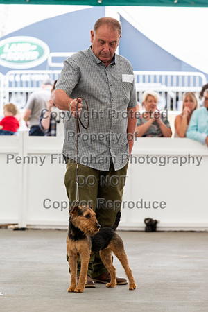 GYS_Terriers_Morning_Ring_One_12th_July_2018_124