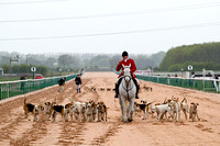 Southwell_Racecourse_Countrymans_Evening_Hounds_15th_May_2013_.004