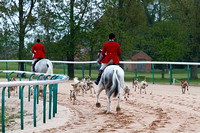 Southwell_Racecourse_Countrymans_Evening_Hounds_15th_May_2013_.019