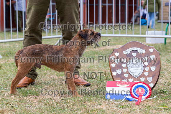 GYS_Terriers_Morning_Ring_Three_12th_July_2018_030