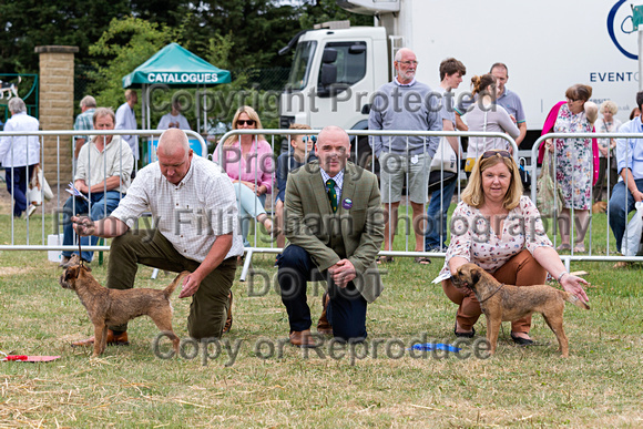 GYS_Terriers_Morning_Ring_Three_12th_July_2018_023