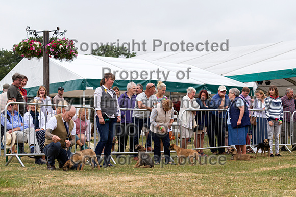 GYS_Terriers_Morning_Ring_Three_12th_July_2018_009