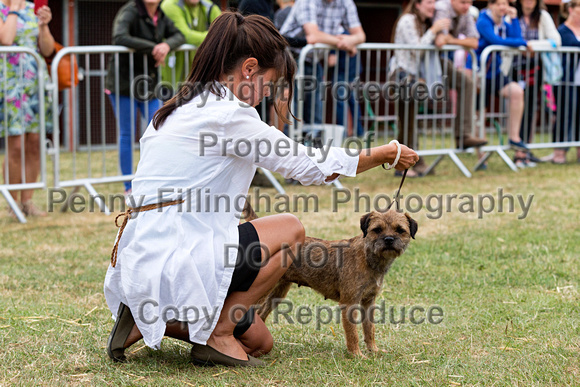 GYS_Terriers_Morning_Ring_Three_12th_July_2018_025