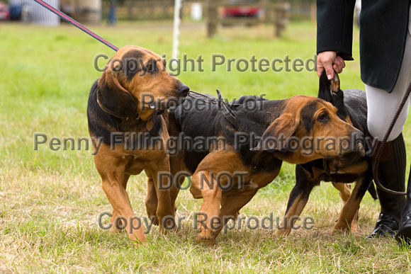 Arbury_Hall_Hounds_Sat_17th_August_2013.008