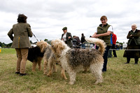 Arbury_Hall_Hounds_Sat_17th_August_2013.005