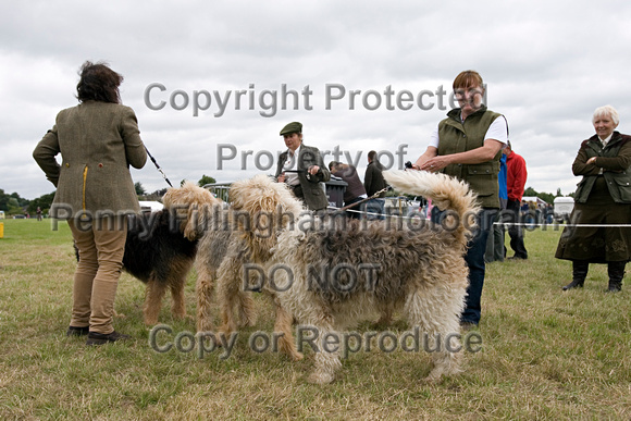 Arbury_Hall_Hounds_Sat_17th_August_2013.005