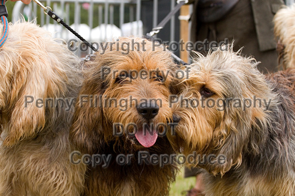 Arbury_Hall_Hounds_Sat_17th_August_2013.019