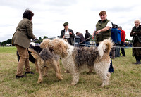 Arbury_Hall_Hounds_Sat_17th_August_2013.004