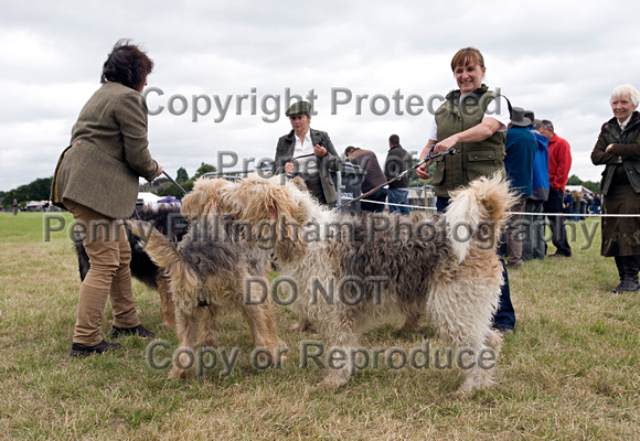 Arbury_Hall_Hounds_Sat_17th_August_2013.004