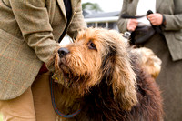 Arbury_Hall_Hounds_Sat_17th_August_2013.017