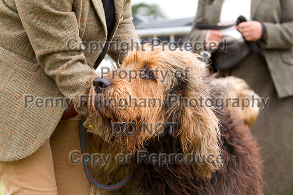 Arbury_Hall_Hounds_Sat_17th_August_2013.017