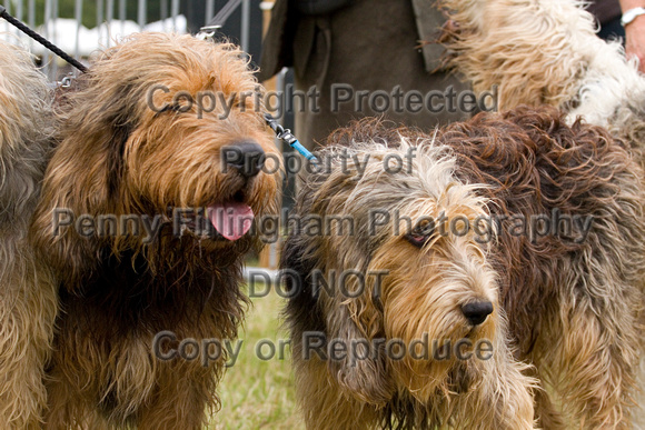 Arbury_Hall_Hounds_Sat_17th_August_2013.020