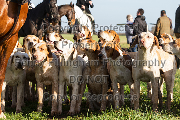 South_Notts_Wiverton_12th_Nov_2015_012