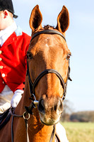 South_Notts_Wiverton_12th_Nov_2015_017
