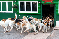 South_Notts_Kennels_3rd_Sept_2018_011