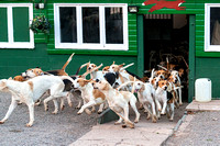 South_Notts_Kennels_3rd_Sept_2018_010