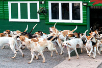 South_Notts_Kennels_3rd_Sept_2018_013