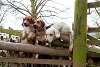 South_Notts_Kennels_5th_April_2015_015