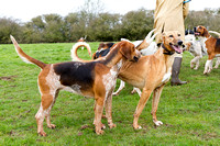 South_Notts_Kennels_5th_April_2015_013