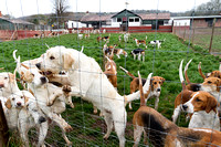 South_Notts_Kennels_5th_April_2015_001