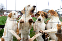 South_Notts_Kennels_5th_April_2015_002