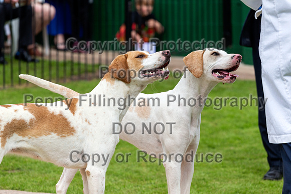 South_Notts_Puppy_Show_4th_June_2017_051