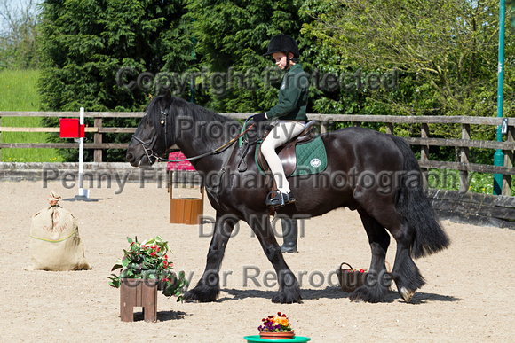 North_Midlands_RDA_Countryside_Challenge_Qualifiers_C1_23rd_May_2016_004