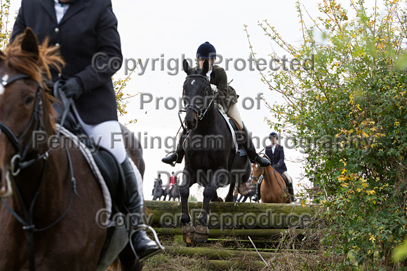 Grove_and_Rufford_Opening_Meet_28th_Oct_2014_336