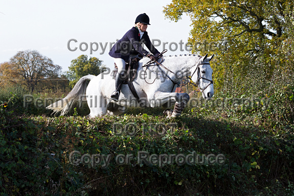Grove_and_Rufford_Opening_Meet_28th_Oct_2014_163